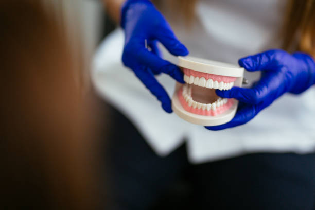 Best Traditional Braces  in , MT